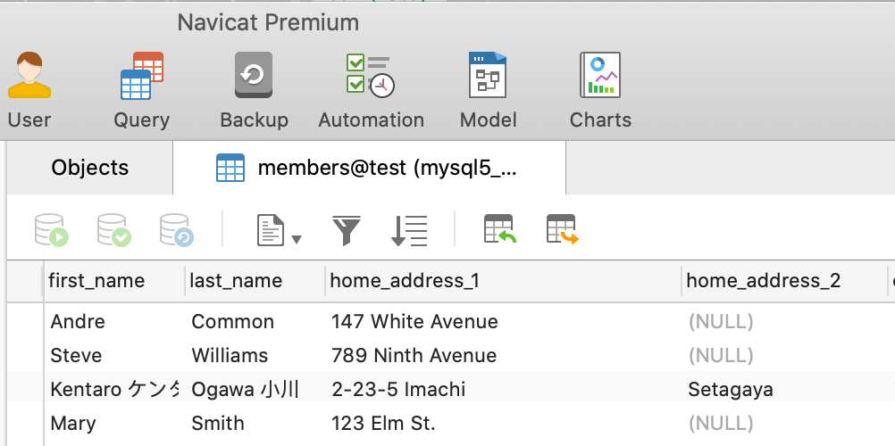 MySQL UTF8 Characters Shown in Navicat.